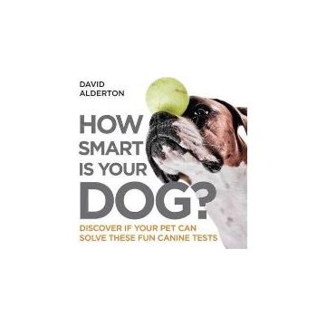 How Smart Is Your Dog?