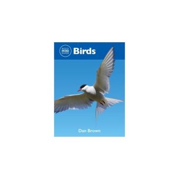 Reed Mini Guide: Birds