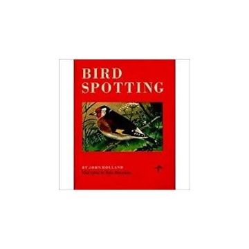 Bird Spotting