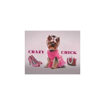 Crazy Chick (Dog)