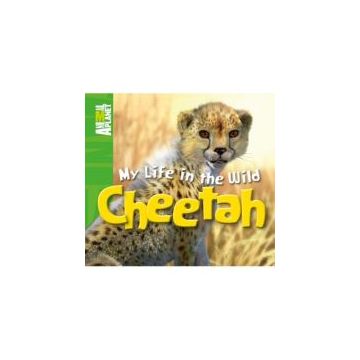 My Life in the Wild: Cheetah