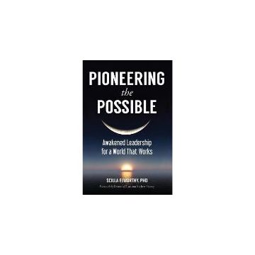 Pioneering the Possible