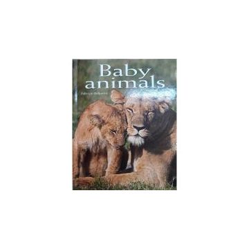 Baby Animals: Pocket Book