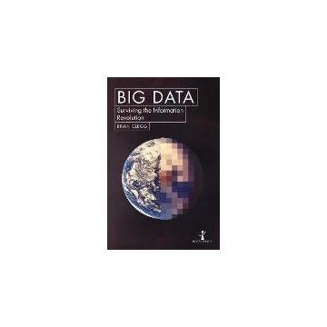 Big Data : How the Information Revolution Is Transforming Our Lives
