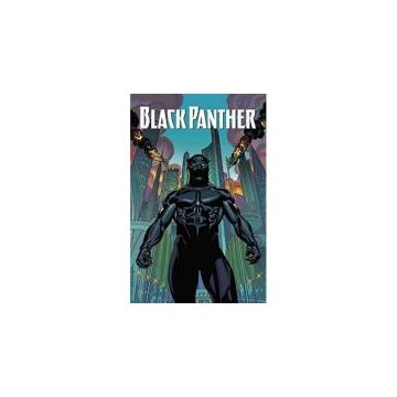 Black Panther: Vol. 1