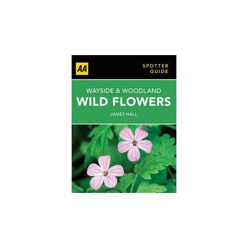 Wayside and Woodland Wild Flowers