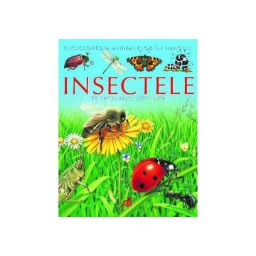 Insectele