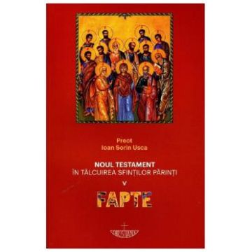 Noul Testament in talcuirea Sfintilor Parinti. Vol.5: Fapte - Pr. Ioan Sorin Usca