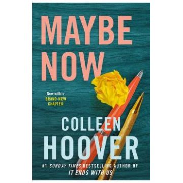Maybe Now. Maybe #2 - Colleen Hoover