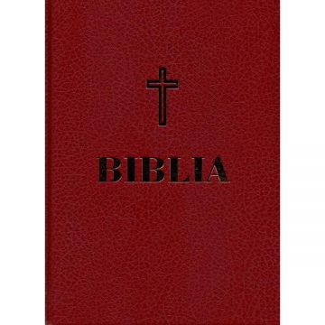 Biblia (format A4)