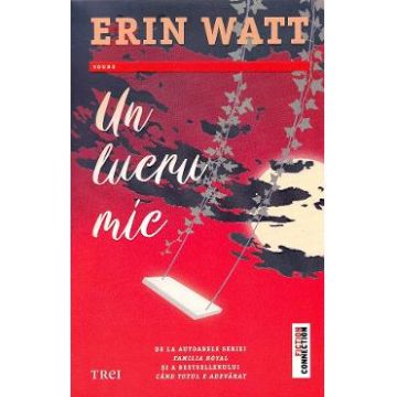 Un lucru mic - Erin Watt