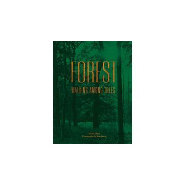 Forest: Walking Among Trees