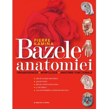 Bazele anatomiei