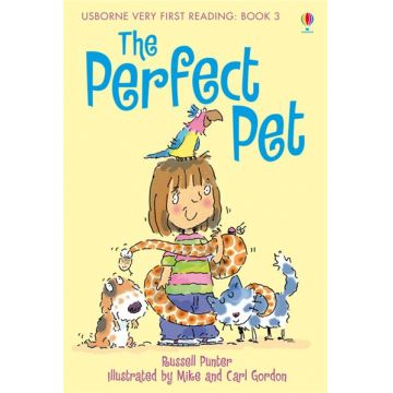 The perfect pet (Usborne Very First Reading: Book 3)