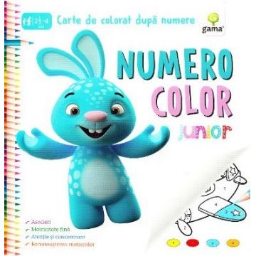 NumeroColor Junior