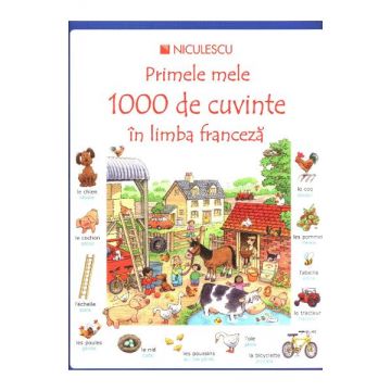 Primele mele 1000 de cuvinte în limba franceza