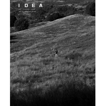Revista IDEA artă+societate #49