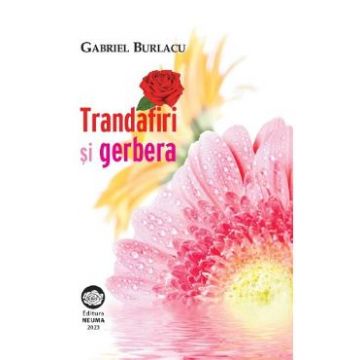 Trandafiri si Gerbera - Gabriel Burlacu