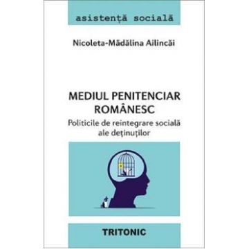 Mediul penitenciar romanesc. Politicile de reintegrare sociala ale detinutilor - Nicoleta-Madalina Ailincai