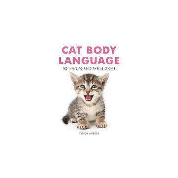 Cat body language