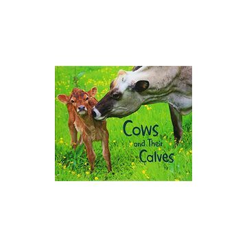 Cows and Their Calves