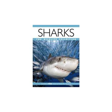 Sharks (Wildlife Collection)