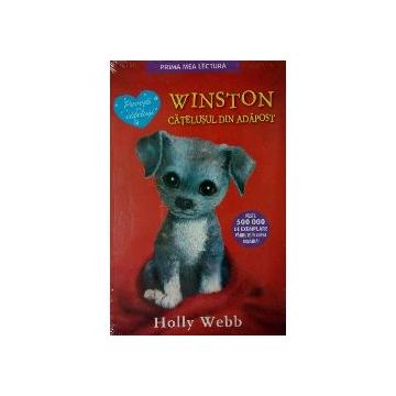 Winston, catelul din adapost