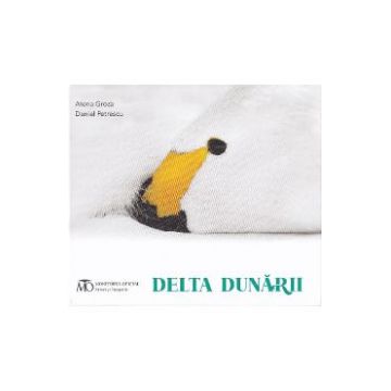 Delta Dunarii - Atena Groza, Daniel Petrescu