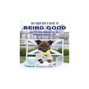 Good Boy's Guide to Being Good