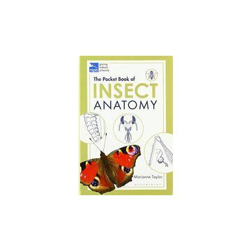 RSPB Pocket Book of Insect Anatomy