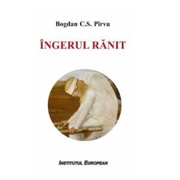 Ingerul ranit - Bogdan C.S. Pirvu