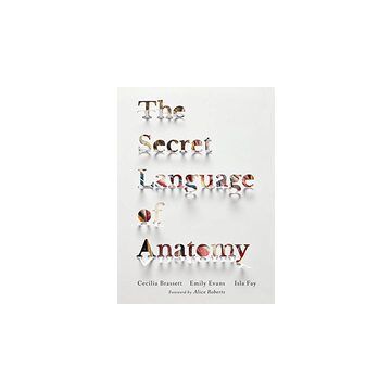 The secret language of anatomy