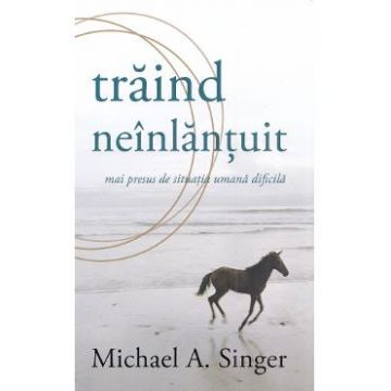 Traind neinlantuit mai presus de situatia umana dificila - Michael A. Singer