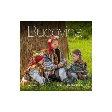 Bucovina - Florin Andreescu
