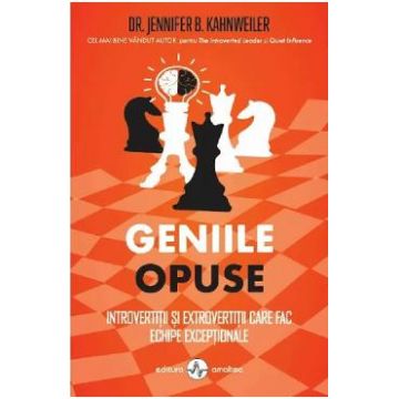 Geniile opuse. Introvertitii si extrovertitii care fac echipe exceptionale - Jennifer B. Kahnweiler