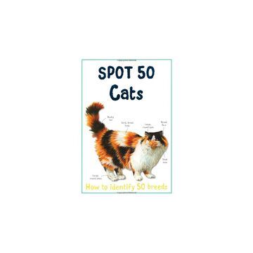 Spot 50 Cats