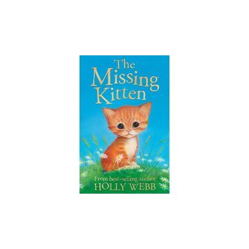 The missing kitten