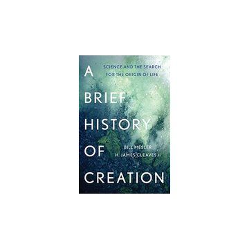 A brief history of creation