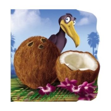 Nuca de cocos (Primii pasi)