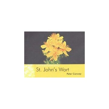 Understanding St Johns Wort
