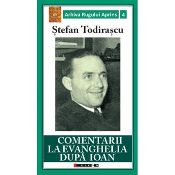 Comentarii la Evanghelia dupa Ioan | Stefan Todirascu