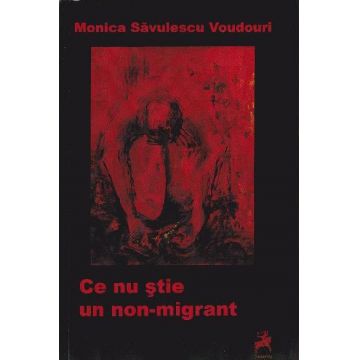Ce nu stie un non-migrant | Monica Savulescu Voudouri