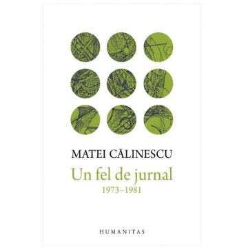 Un fel de jurnal | Matei Calinescu