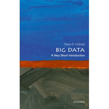 Big Data | Dawn E. Holmes