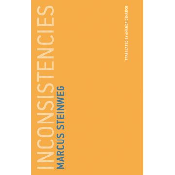 Inconsistencies | Marcus Steinweg