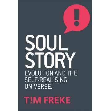 Soul Story | Tim Freke