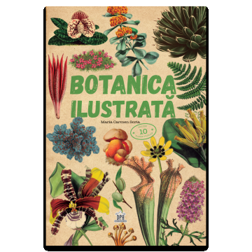 Botanica ilustrata