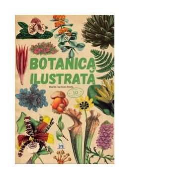 Botanica ilustrata
