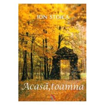 Acasa, Toamna - Ion Stoica