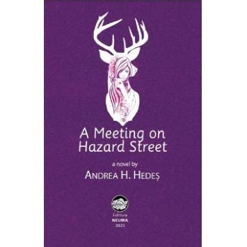 A Meeting on Hazard Street - Andrea H. Hedes